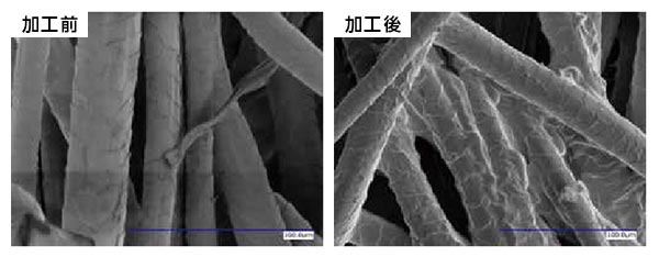 加工前・加工後